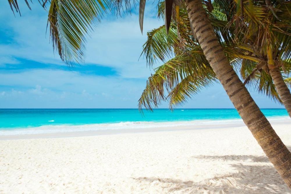 All Season Paradise In Cortez Bradenton Esterno foto